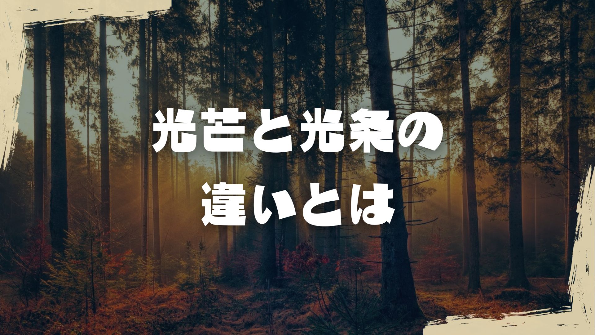 写真光芒撮り方: 光芒をきれいに出す方法 – SLUDKL